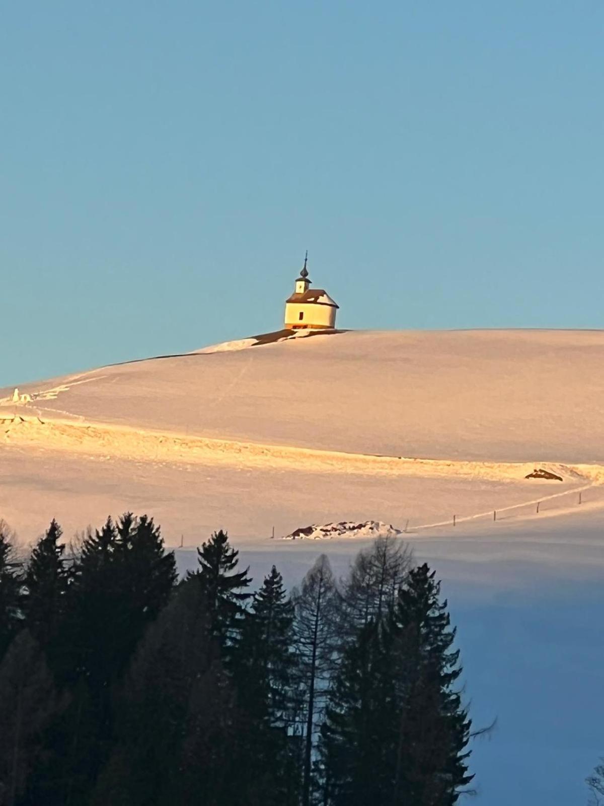 Homestay Poelstaler Berghuette *