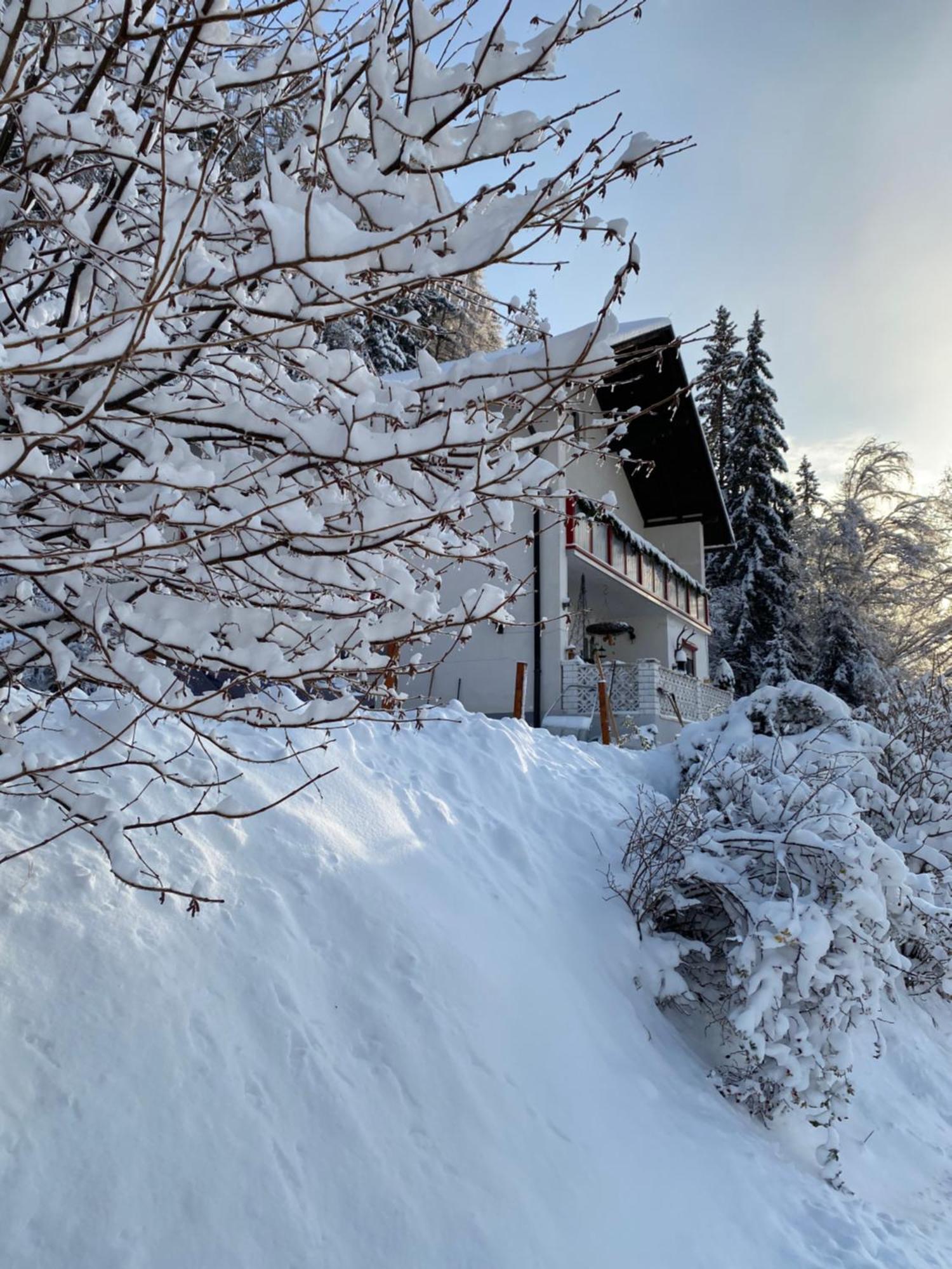 Poelstaler Berghuette Homestay *