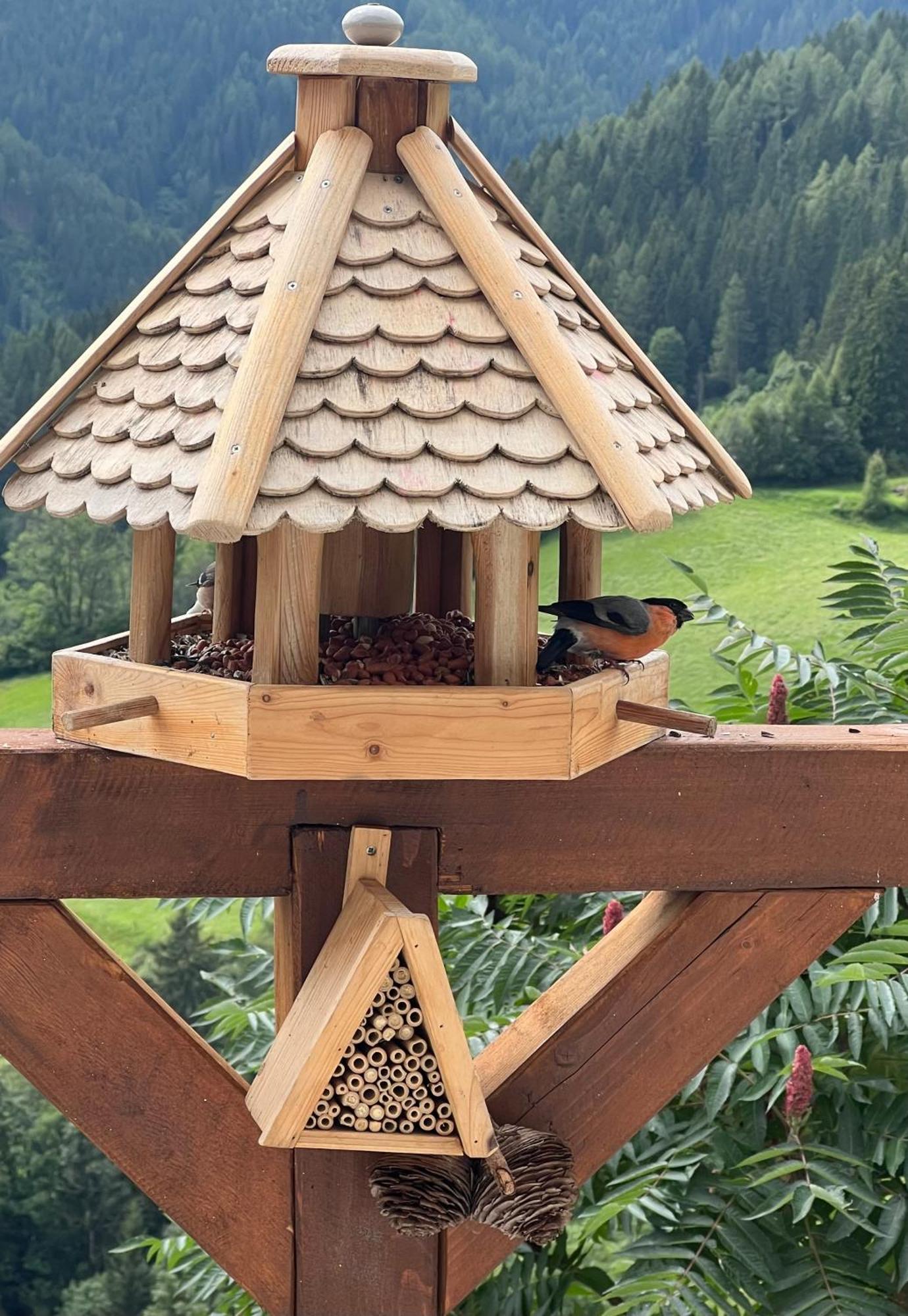 Homestay Poelstaler Berghuette *