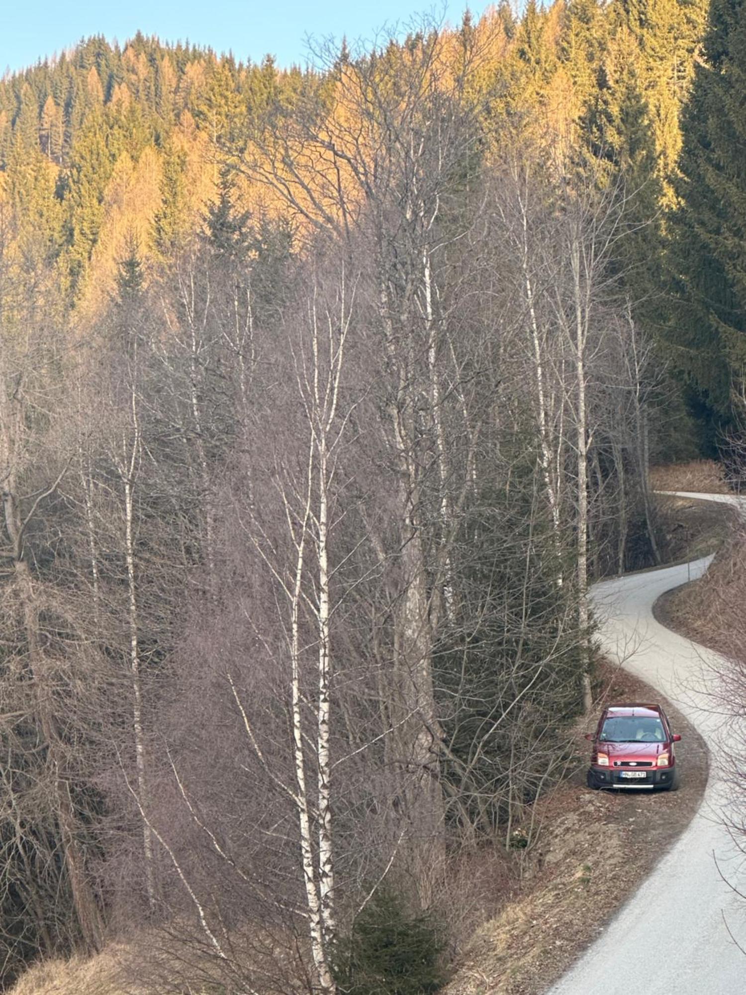 Poelstaler Berghuette Oberzeiring